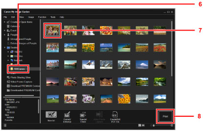 الشكل: إطار برنامج My Image Garden